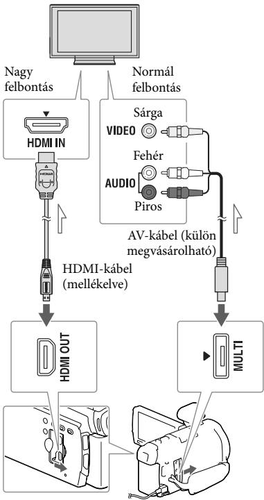 SONY HDR-PJ790E - Felvetelek megtekintésetelevisión - 1