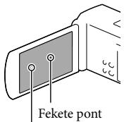 SONY HDR-TD30VE - LCD-panel - 1