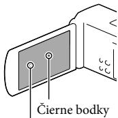 SONY HDR-TD30VE - Obrazovka LCD - 1