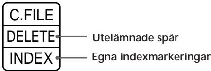 C.FILE DELETE INDEX — Utelämnade spår — Egna indexmarkeringar