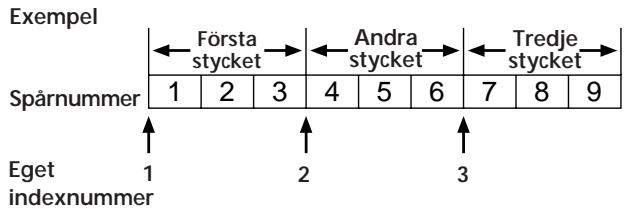 Exempel Första styccket → Andra styccket → Tredje styccket → Spårnummer 1 2 3 4 5 6 7 8 9 Eget indexnummer 1 2 3