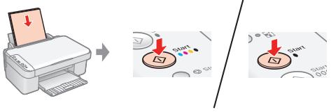 EPSON STYLUS CX3900 - Removing and Installing Ink Cartridges • Retrait et installation des cartouches d'encre • Tintenpatronen entnehmen und einsetzen • Cartridges verwijderen en installeren - 12