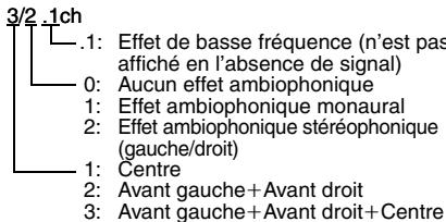 PANASONIC DVD-LX95 - Type de signal/données - 1