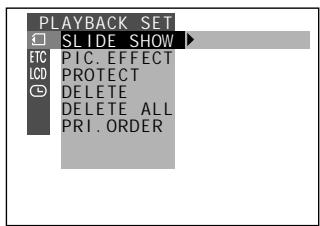 SHARP VIEWCAM Z - Slide Show Playback - 4