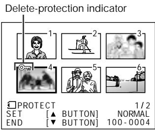 SHARP VIEWCAM Z - Delete-protection - 8