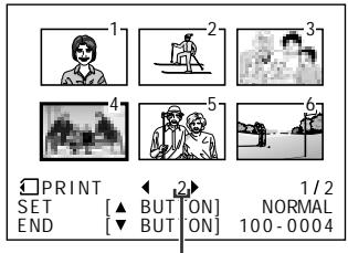 SHARP VIEWCAM Z - Assigning Print Order to an Image - 9