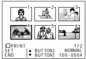 SHARP VIEWCAM Z - To cancel the print order for an image - 4