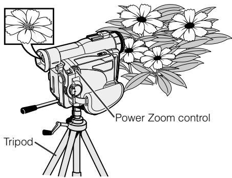 SHARP VIEWCAM Z - Macro Shots - 1
