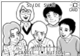 SHARP VIEWCAM Z - Slide Show Playback - 8