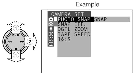 SHARP VIEWCAM Z - Using the Menu Screens - 5