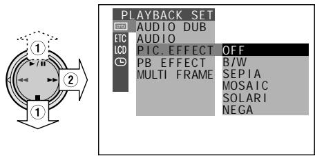 SHARP VIEWCAM Z - Type of Picture Effects - 1
