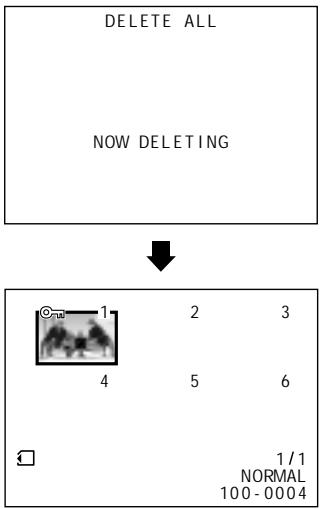 SHARP VIEWCAM Z - Press / to delete all the images. - 2