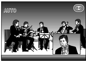 SHARP VIEWCAM Z - Using P-IN-P mode - 8