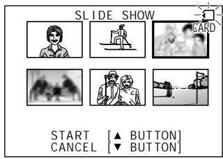 SHARP VIEWCAM Z - Slide Show Playback - 6