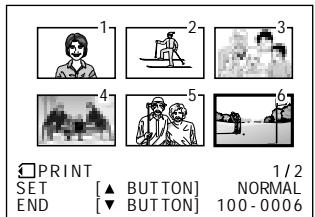 SHARP VIEWCAM Z - Assigning Print Order to an Image - 5