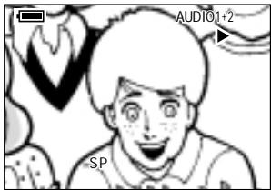 SHARP VIEWCAM Z - Playback Zoom - 3