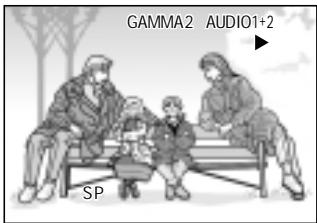 SHARP VIEWCAM Z - Gamma Playback - 5