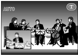 SHARP VIEWCAM Z - Using P-IN-P mode - 6