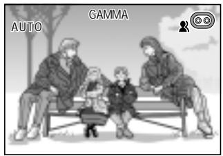 SHARP VIEWCAM Z - Gamma Brightness Compensation - 4