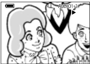 SHARP VIEWCAM Z - Playback Zoom - 5
