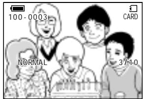 SHARP VIEWCAM Z - CardPlayback - 6