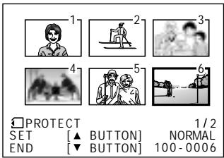 SHARP VIEWCAM Z - Delete-protection - 4