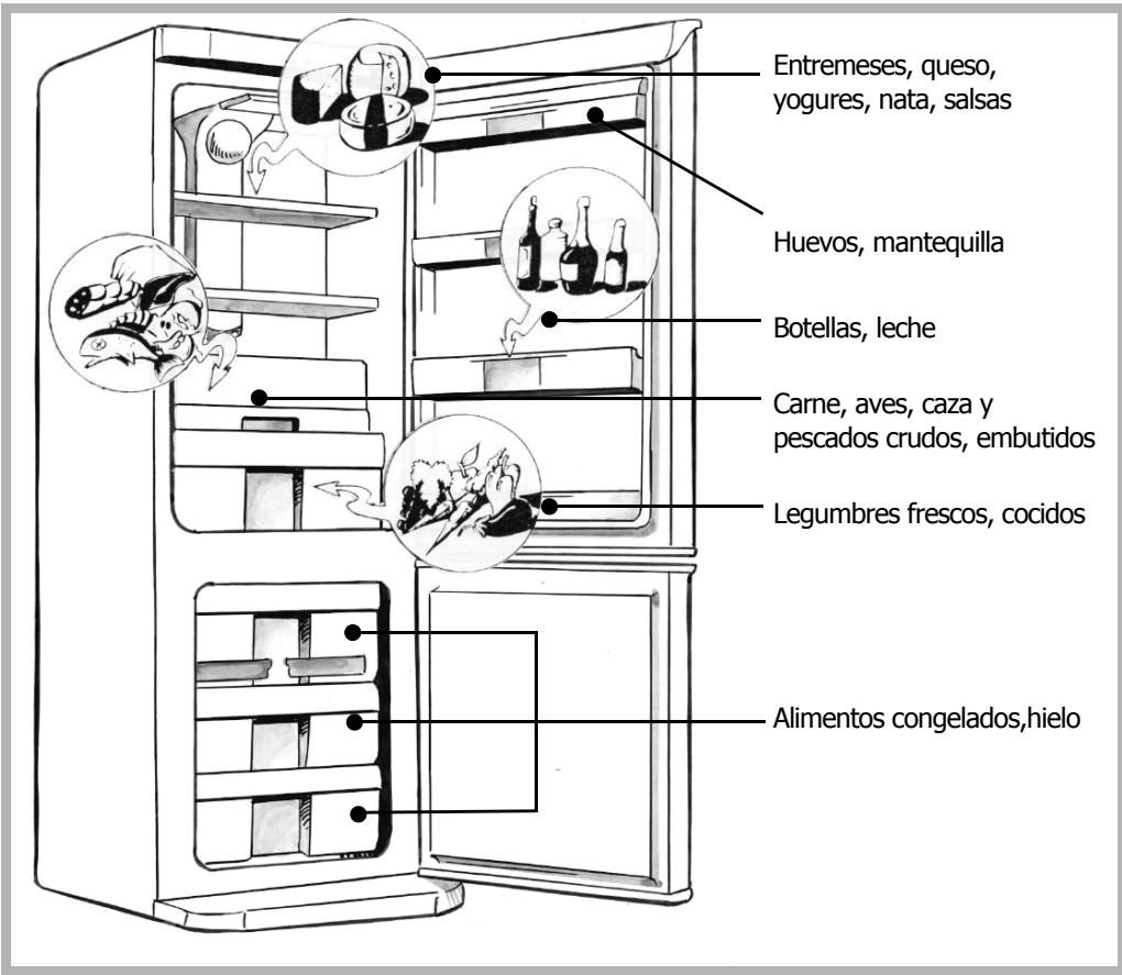 BRANDT CE3321X - Colocacion de los alimentos en su frigorifico - 2