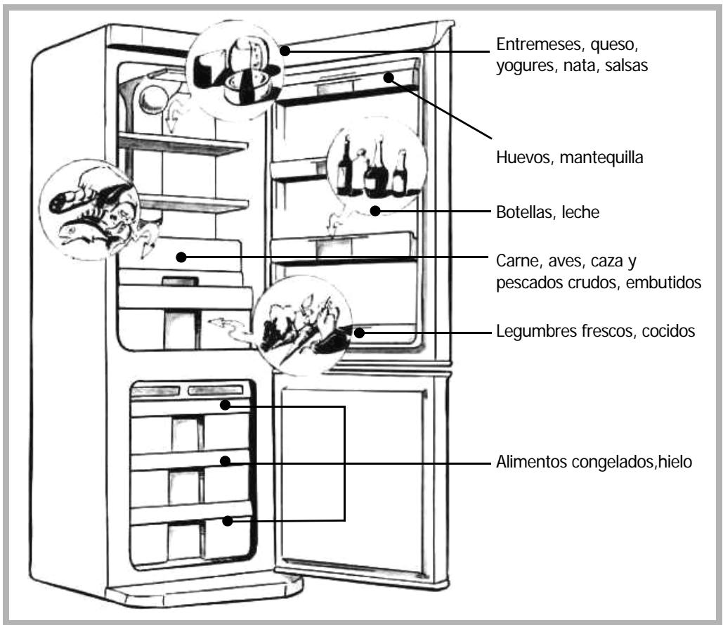 BRANDT CEN3010 - Colocación de los alimentos en su frigorífico - 2