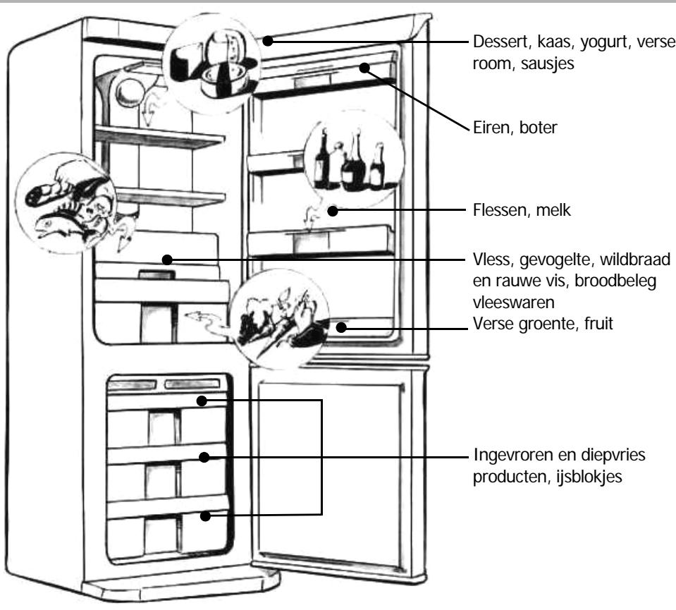 Dessert, kaas, yogurt, verse room, sausjes Eiren, boter Flessen, melk Vless, gevogelte, wildbraad en rauwe vis, broodbeleg vleeswaren Verse groente, fruit Ingevroren en diepvries producten, ijsblokjes