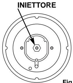 INIETTORE Fig