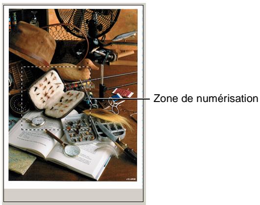Zone de numérisation