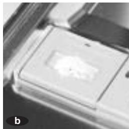 FAGOR LFF 031A - Détergent - 3