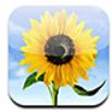 APPLE IPHONE OS 3.0 - Alarmes - 1
