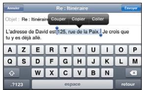 APPLE IPHONE OS 3.0 - Modification - 3