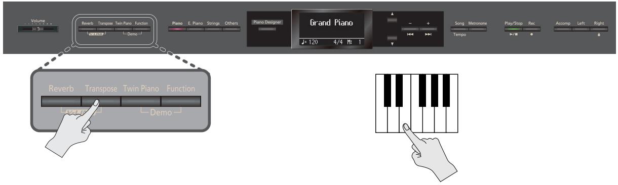 ROLAND HP307-PE - Transposer le clavier (transpose) - 1