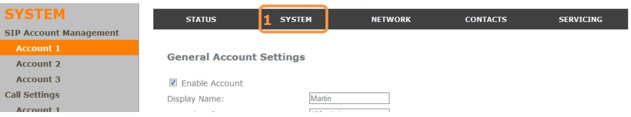 SYSTEM SIP Account Management Account 1 Account 2 Account 3 Call Settings Account 1 STATUS 1 SYSTEM NETWORK CONTACTS SERVICING General Account Settings ✓ Enable Account Display Name: Martin