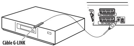 Cable G-LINK