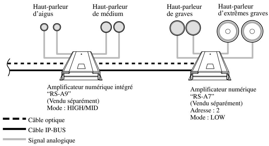 Haut-parleur d'aigus Haut-parleur de médium Haut-parleur de graves Haut-parleur d'extrêmes graves Amplificateur numérique intégré "RS-A9" (Vendu séparément) Mode : HIGH/MID Amplificateur numérique "RS-A7" (Vendu séparément) Adresse : 2 Mode : LOW Câble optique Câble IP-BUS Signal analogique