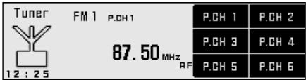 Tuner FM1 P.CH1 12:25 87.50MHz RF P.CH 1 P.CH 2 P.CH 3 P.CH 4 P.CH 5 P.CH 6