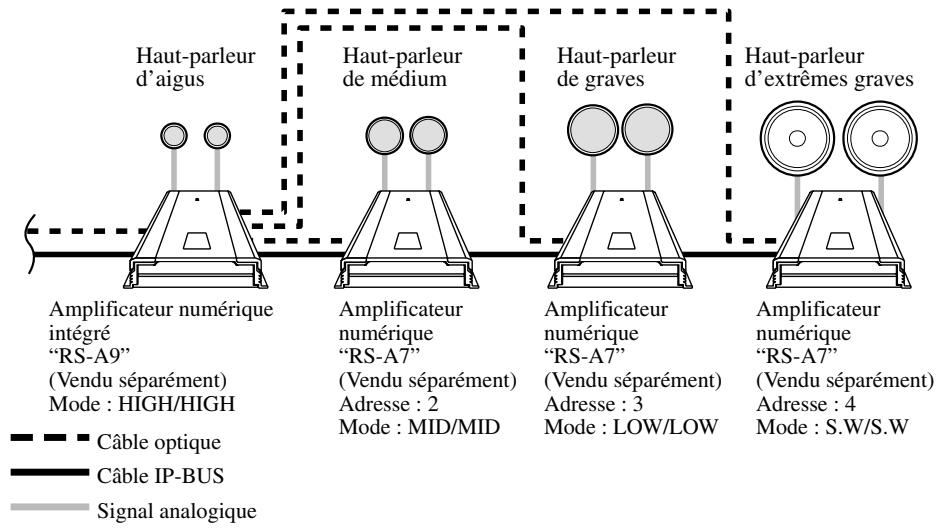 Haut-parleur d'aigus Amplificateur numérique intégré "RS-A9" (Vendu séparément) Mode : HIGH/HIGH Haut-parleur de médium Amplificateur numérique "RS-A7" (Vendu séparément) Adresse : 2 Mode : MID/MID Haut-parleur de graves Amplificateur numérique "RS-A7" (Vendu séparément) Adresse : 3 Mode : LOW/LOW Haut-parleur d'extrêmes graves Amplificateur numérique "RS-A7" (Vendu séparément) Adresse : 4 Mode : S.W/S.W Câble optique Câble IP-BUS Signal analogique