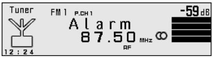 Tuner FM1 PCH1 Alarm 87.50 MHz ∞ RF -59 dB 12:24