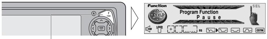 PIONEER DEH-P920R - Setting the PGM Button - 1