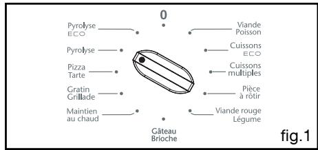 SAUTER SFP 920 X - - NETTOYAGE PYROLYSE IMMEDIATE - 1