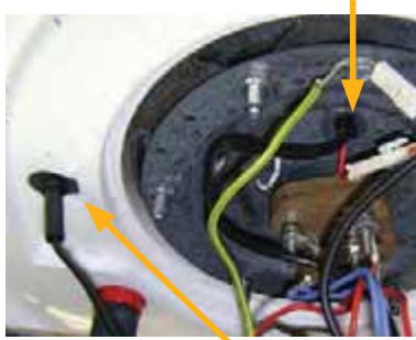 SAUTER PRODIGIO 150 L - Vertical sur socle - 1