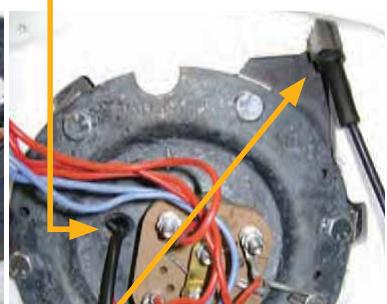 SAUTER PRODIGIO 150 L - Vertical sur socle - 2