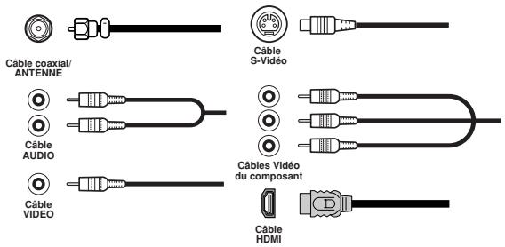 TOSHIBA 20HLV86 - Branchement de votre téléviseur/DVD - 1