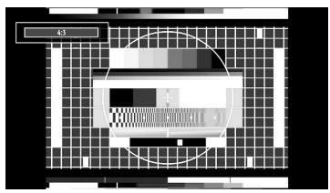 Microchip or integrated circuit layout with grid pattern and central component (no visible text or symbols)