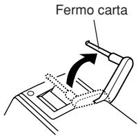 Fermo carta