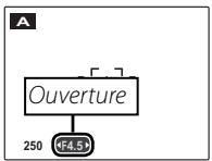 FUJIFILM HS10 - A PRIO. OUVERT. - 2