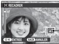 FUJIFILM HS10 - RECADRER - 2